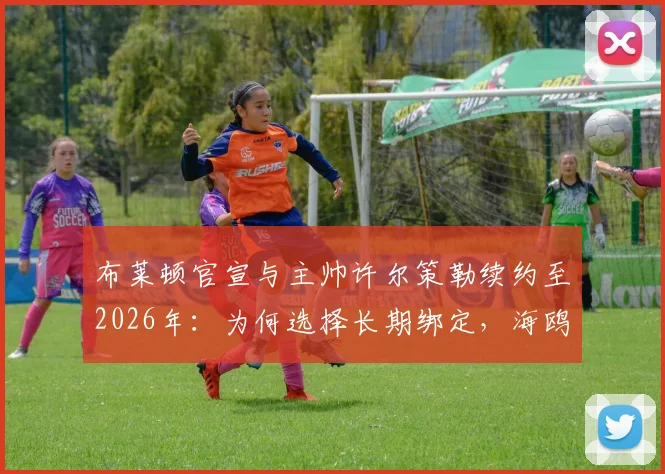 布莱顿官宣与主帅许尔策勒续约至2026年：为何选择长期绑定，海鸥军团未来建队规划全解析