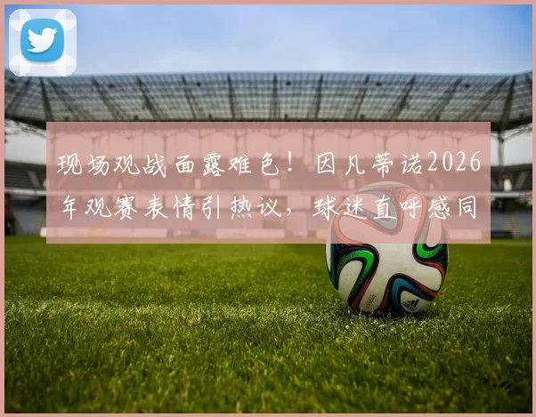 现场观战面露难色！因凡蒂诺2026年观赛表情引热议，球迷直呼感同身受
